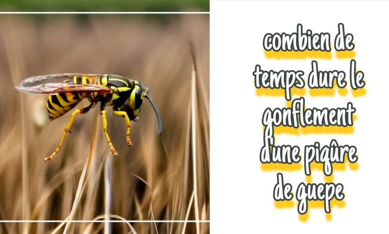 Combien de temps dure le gonflement d'une piqure de guepe ?