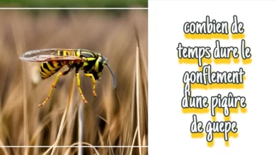 Combien de temps dure le gonflement d'une piqure de guepe ?